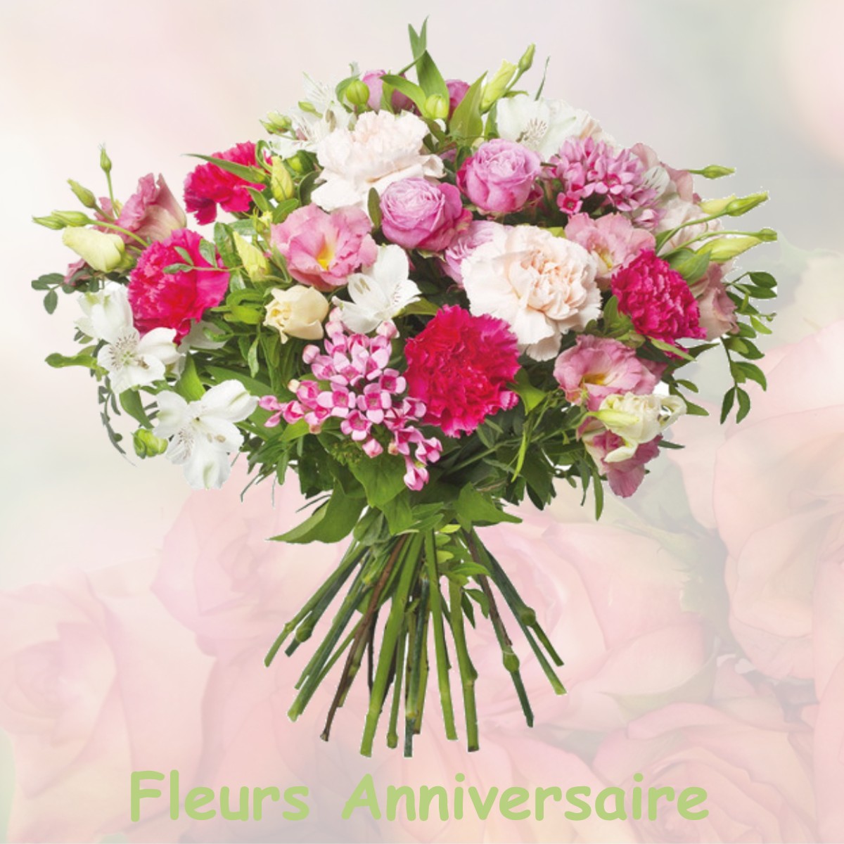 fleurs anniversaire VILLARD-SUR-DORON